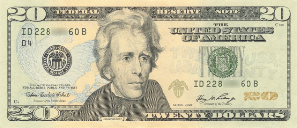 a copy of a $20 bill